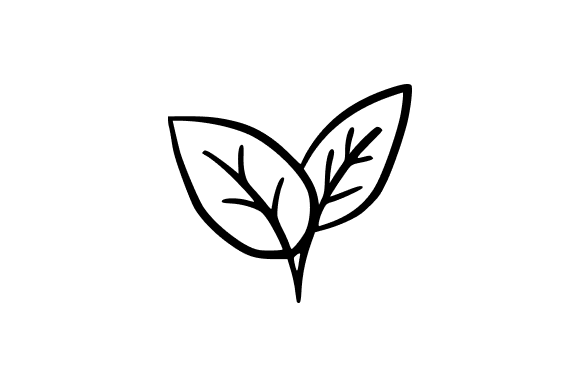 Eco-friendly Leaves Icon Graphics and Illustrations Review