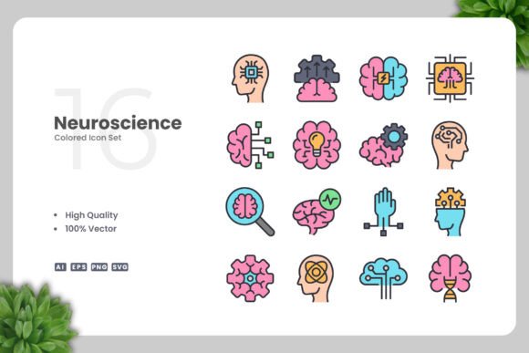 Neuroscience Colored Icons Review